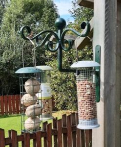 Bird feeder