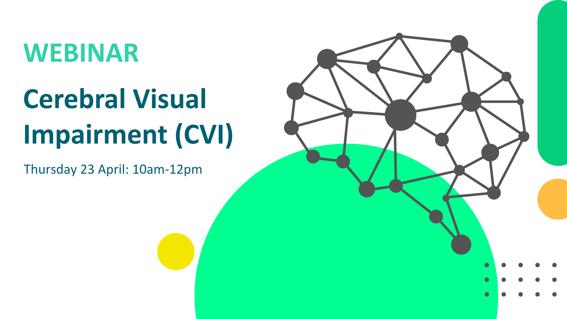Cerebral Visual Impairment (CVI) Session 2
